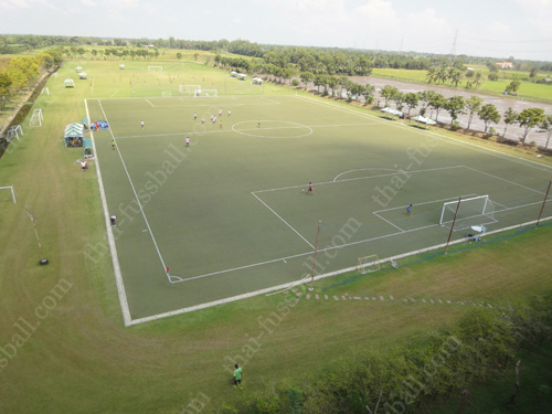 the artificial turf artificial turf