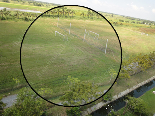 rutting on the grass pitches grass pitches