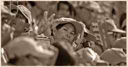 Songkhla sepia